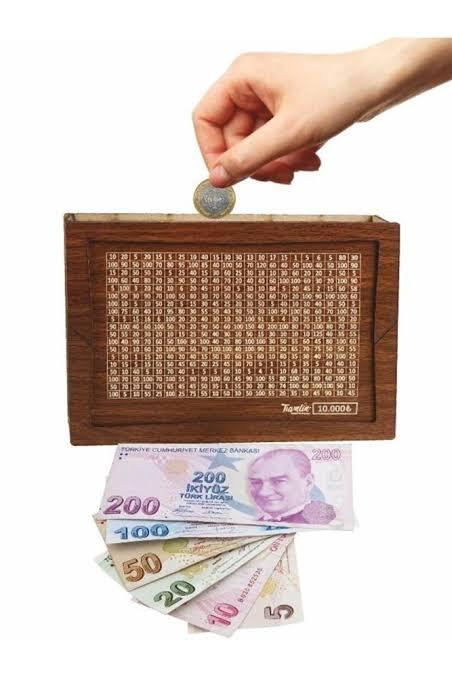 Aylık Ne Kadar Kazansaydınız Birikim Yapma Şansınız Olurdu?