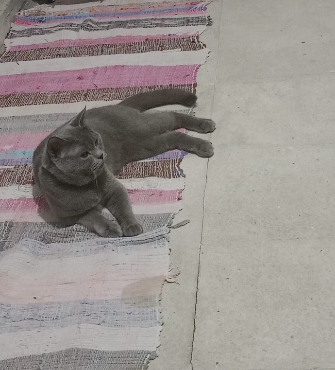 Gün içinde kimle daha çok muhatap oluyorsunuz?