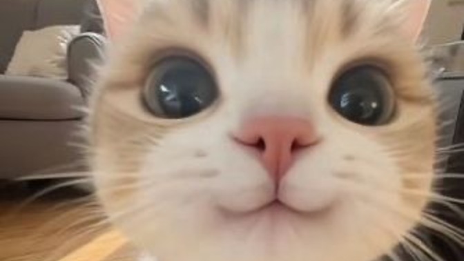 İstediğinizi yaptırabilecek etkiniz var mı?