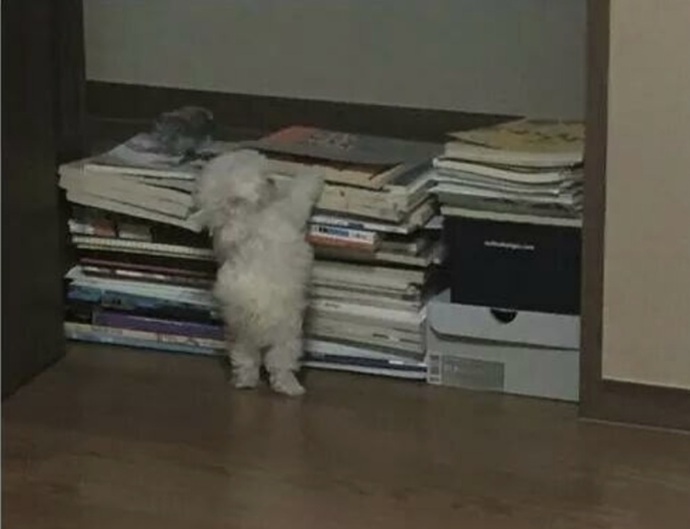 Marketlerin üst raflarındaki ürünlere yetişebiliyor musunuz🙄?