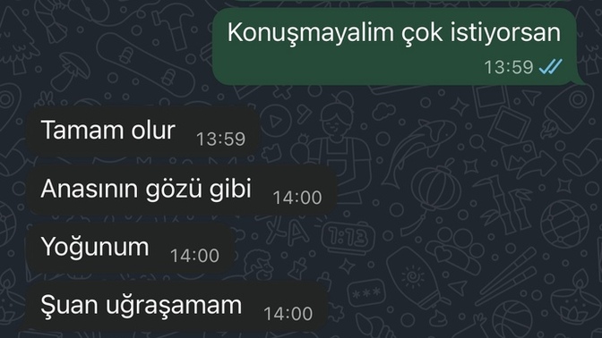 Sizce eski sevgilim temelli mi konuşmak istemiyor?