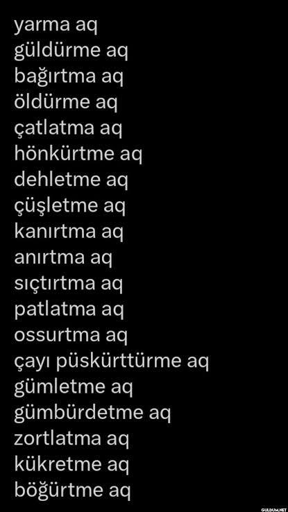 Bir müzik grubunuz olsaydı, ismi ne olurdu söyleyim mi?