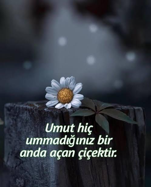 Türk toplumunun, bu aralar en çok neye ihtiyacı var?