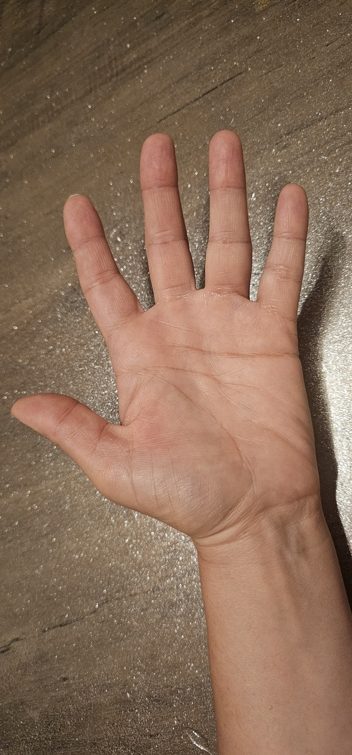 El çizgilerini okumayı biliyor musunuz?