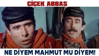 Hangi hitapları kullanan erkekten olmaz?