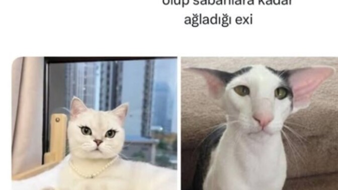 Tonla toksikliği, aldatılmayı, hakareti yaşıyıp yüzük atıp herkese rezil olup yine o kişiyle sevgili olan arkadaşa ne söylerdin?