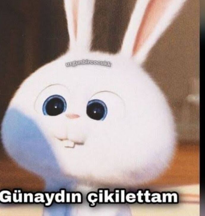 Günaydınnn 🌞 Uyandiniz mı?
