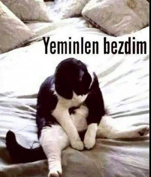 Kişilik karakter