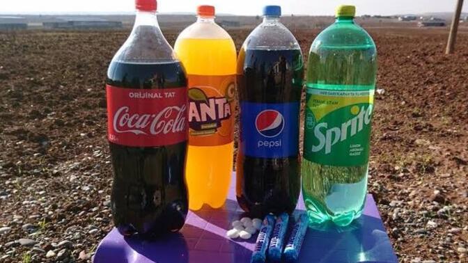 Hangisi cola , fanta, pepsi, sprite?