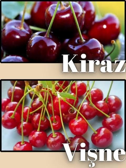 Kiraz mı vişne mi?