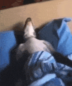 Normal uykunun uyku ilacından ayıran bünyede etkisi nasıl fark edebiliriz 😴?
