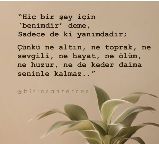 Şu an yanınızda olmasını istediğiniz biri veya birileri var mı?