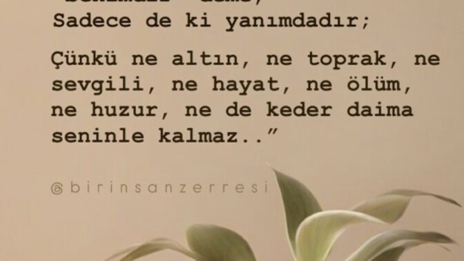 Şu an yanınızda olmasını istediğiniz biri veya birileri var mı?