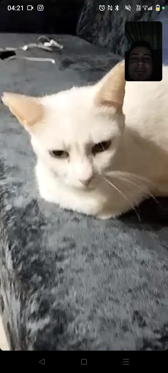 Bir yere yolculuğa çıktığınız zaman en çok neyi özlüyorsunuz?