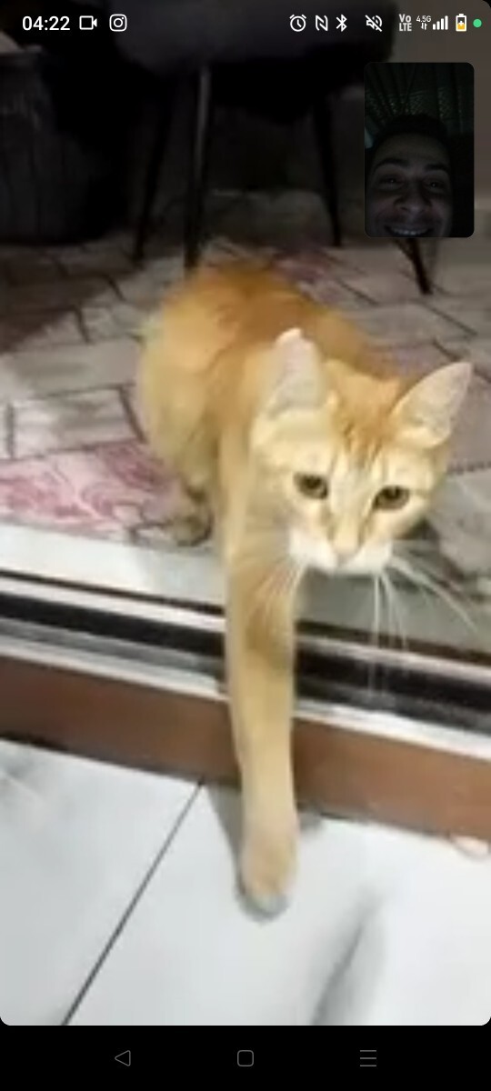 Bir yere yolculuğa çıktığınız zaman en çok neyi özlüyorsunuz?