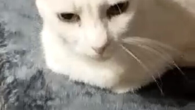 Bir yere yolculuğa çıktığınız zaman en çok neyi özlüyorsunuz?