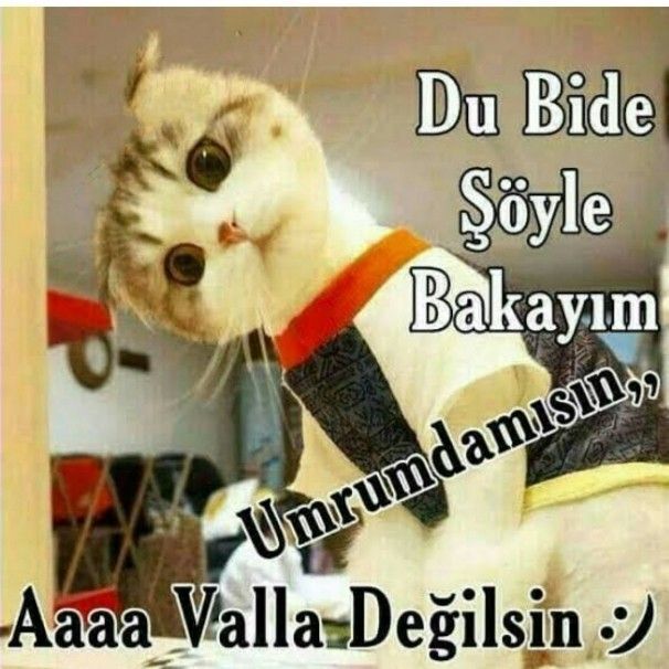 Birisi gelip eski sevgilinizin arkasından iş çevirmek için birlikte çalışmanızı söylese ne yaparsınız?