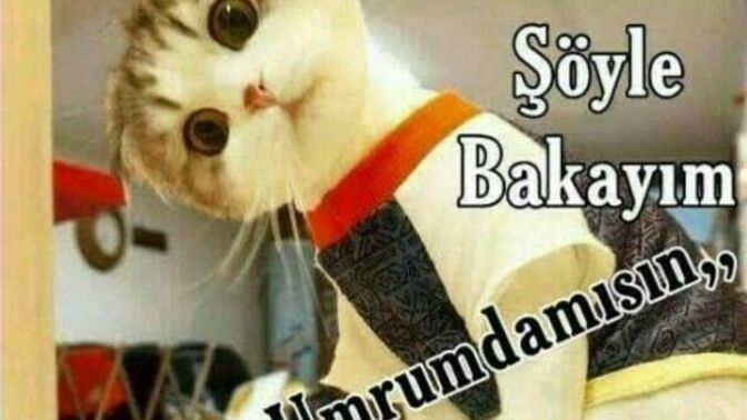 Birisi gelip eski sevgilinizin arkasından iş çevirmek için birlikte çalışmanızı söylese ne yaparsınız?