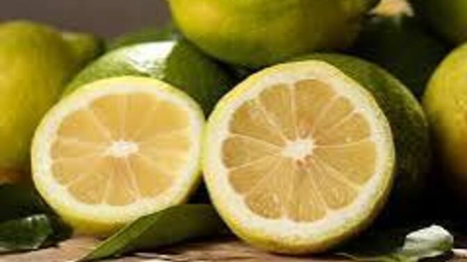 Limon sever misiniz?