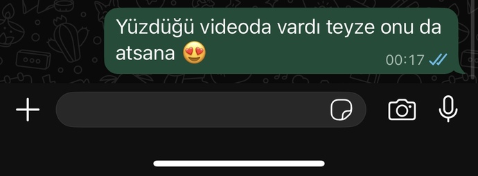 Görüldü atan teyzem çok sinirimi bozdu çıldırcam ya niye böyle yapıyor?
