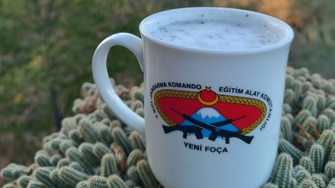 En son ne ictiniz?