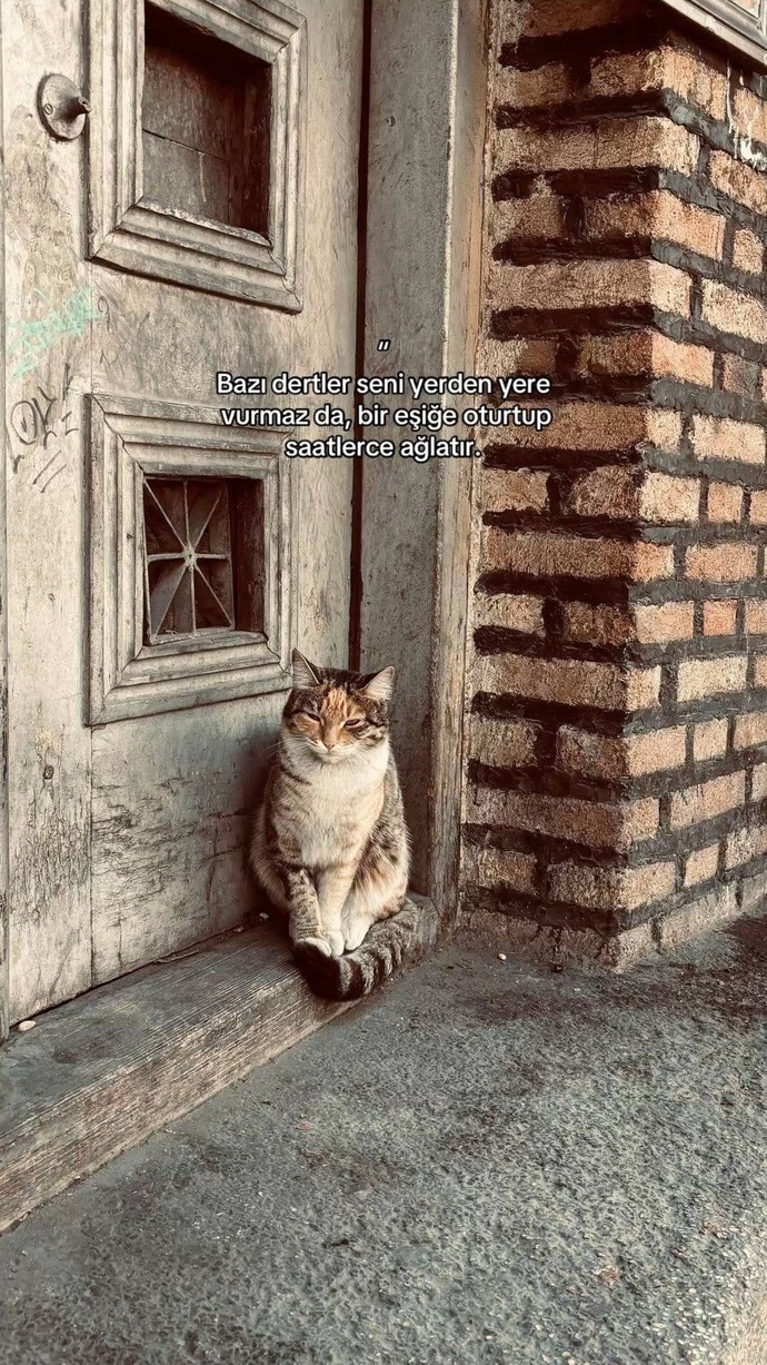 Bu hayatta sizi ne mutlu ediyor?