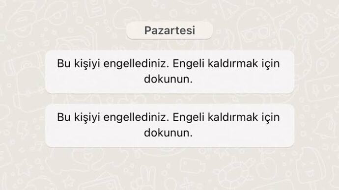Arkadaşım köpeğinin doğum gününe davet etti, sizce köpek doğum gününe ne hediye götürülür?