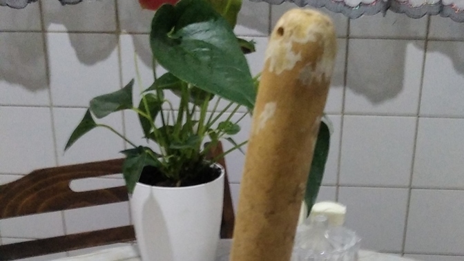 Bunu aldım pazardan nasıl iyi mi sizce ;) ?