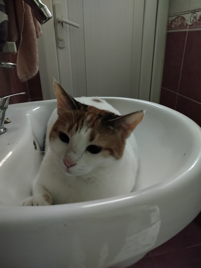Günaydın, güneşiniz günaydın mesajıyla doğdu mu? İçiniz kıpır kıpır mı? Sevdiğinize seni yaradana gurban caneyy dediniz mi?
