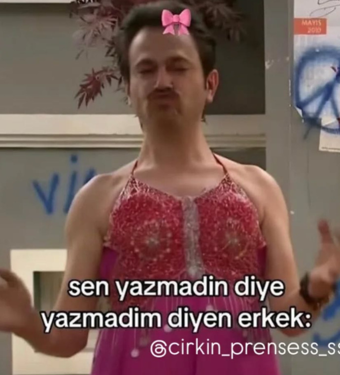 Size göre prenses erkek tanımı nedir?