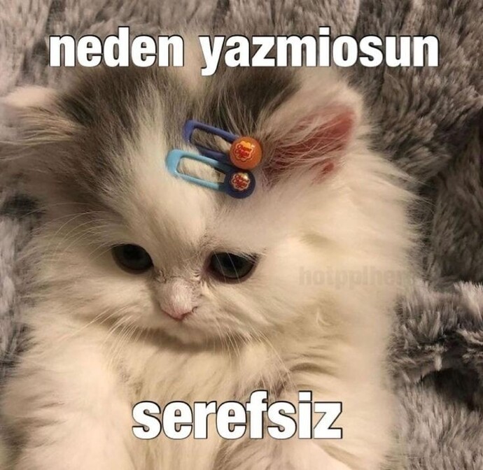 Sevgiliyi sürekli nerdesin diye darlamak sevap mıdır?