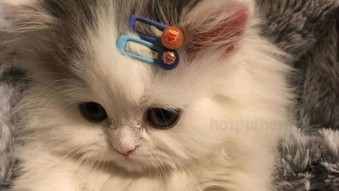 Sevgiliyi sürekli nerdesin diye darlamak sevap mıdır?