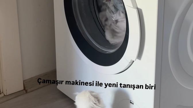 Neden izliyor olabilir?