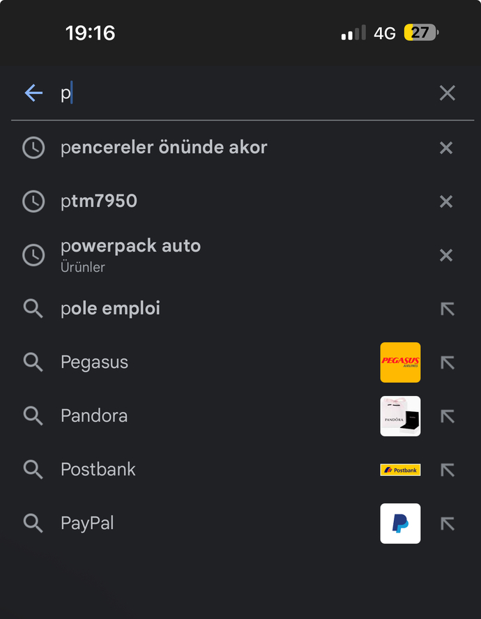 Arama motorunuza p yazınca ne çıkıyor?