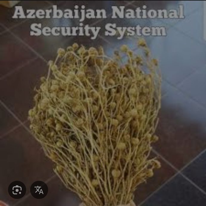 Evimizin olmazsa olmazı 🧿😂