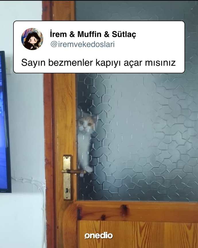 Stalk yaparken gizlenme konusunda nasılsınız?