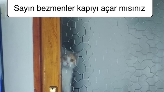 Stalk yaparken gizlenme konusunda nasılsınız?