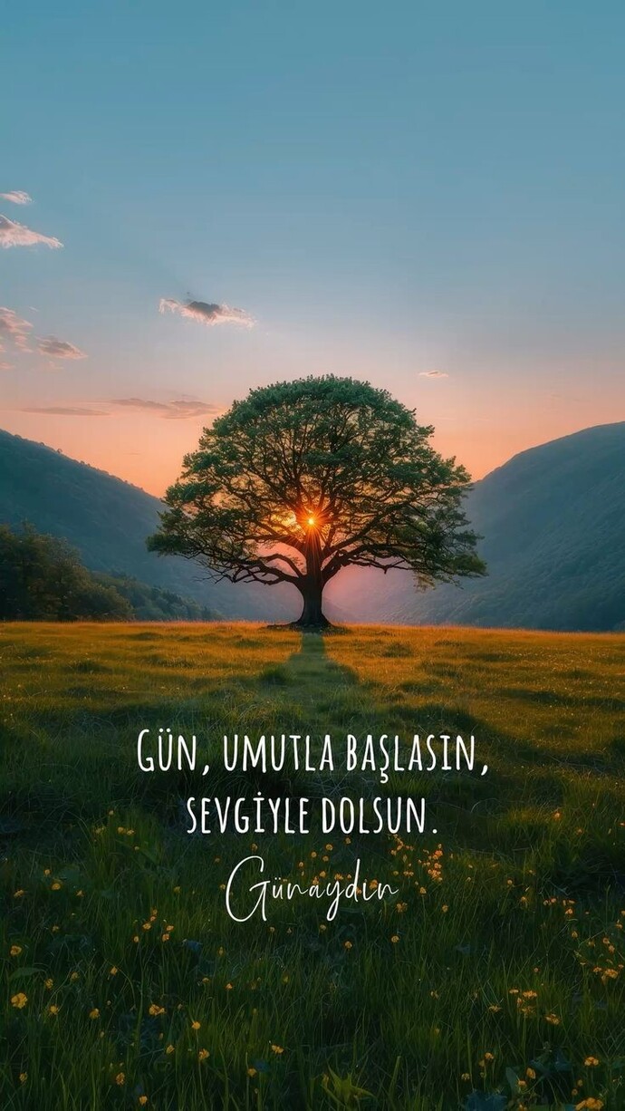 Her yeni gün yeni umutlar demektir umudunuz hep olsun lütfen umudunuzu yitirmeyin olur mu?