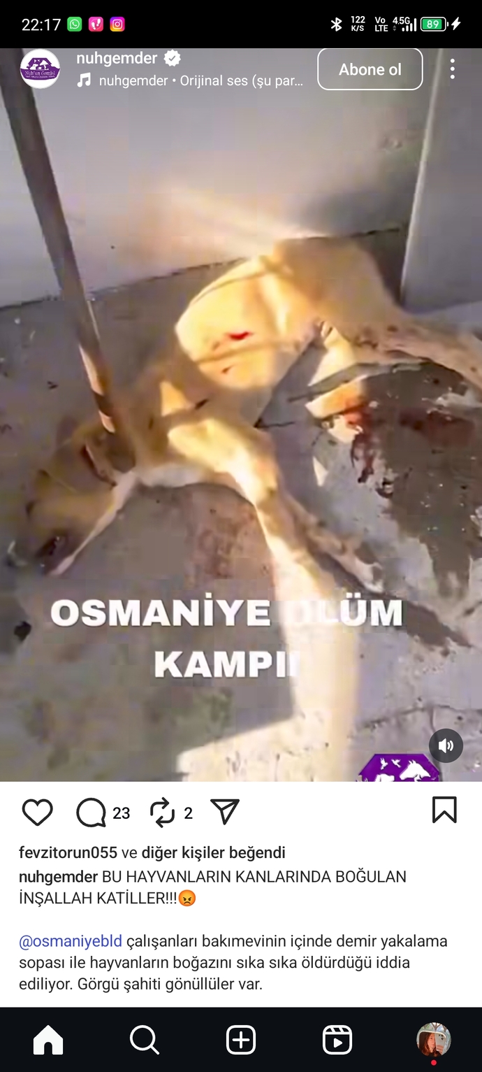 75 suç kaydı olan erkekler neden tutuklanmıyor kadınlar kendini korumak için suç işlese hemen yıllarca ceza alıyor?