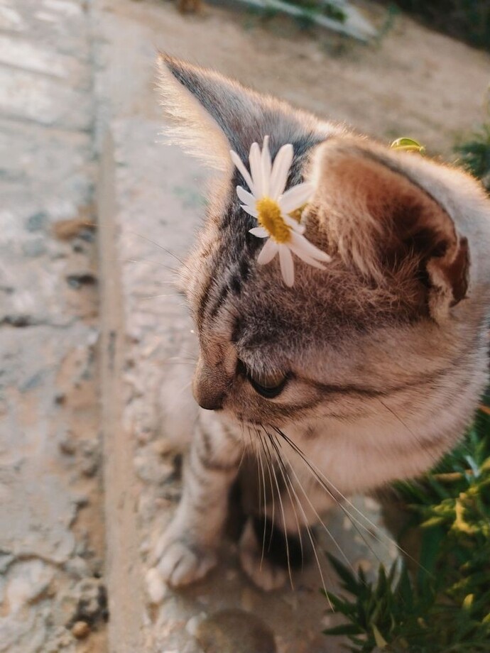 Değer verdiğiniz biri var mı?