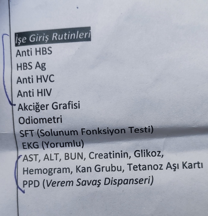 Bunları toplu bir şekilde yaptırabileceğim bir yer var mı?