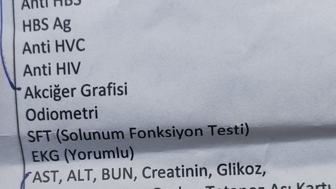 Bunları toplu bir şekilde yaptırabileceğim bir yer var mı?