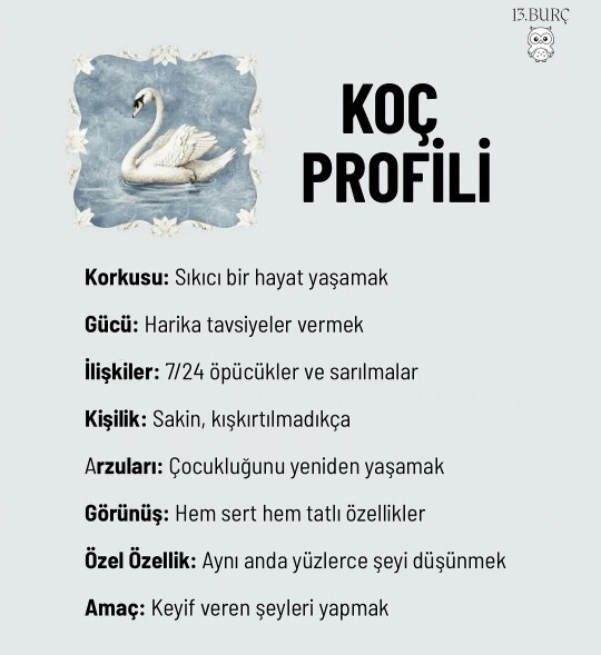 Burcunuzun en sevmediğiniz özelliğisi var mı?