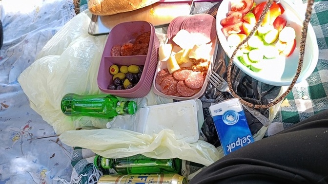 Nabiyosunuz orman severmisiniz?