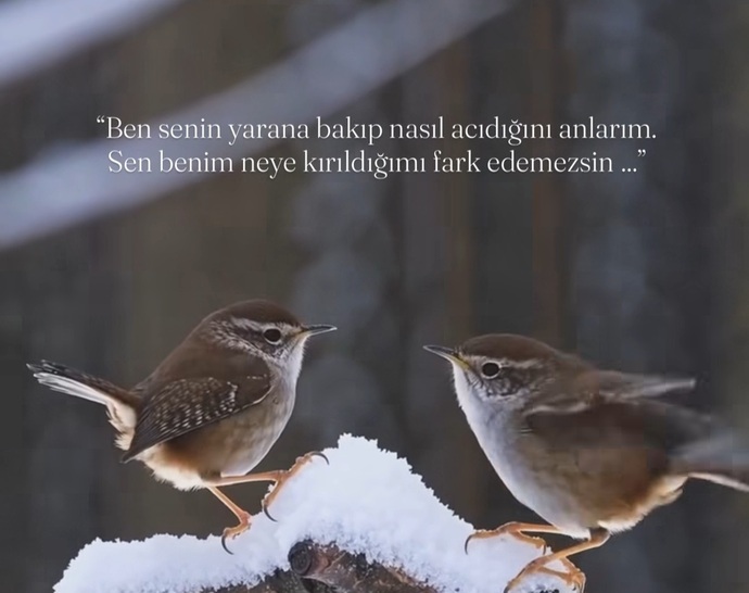 Sessizliğinizi duyanınız var mı?