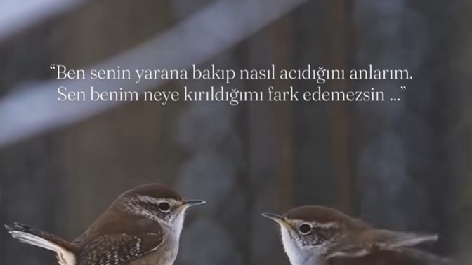 Sessizliğinizi duyanınız var mı?