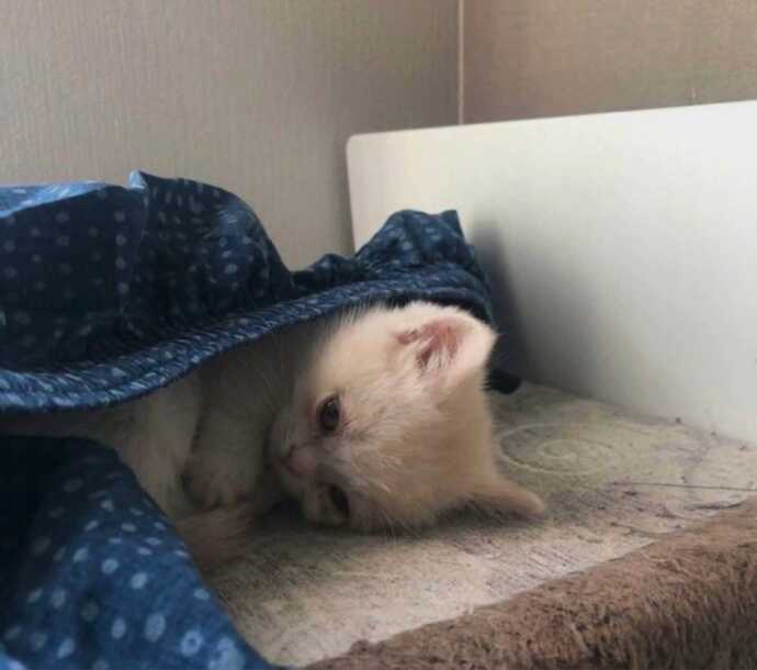 Hayattan sıkıldınızz mı?
