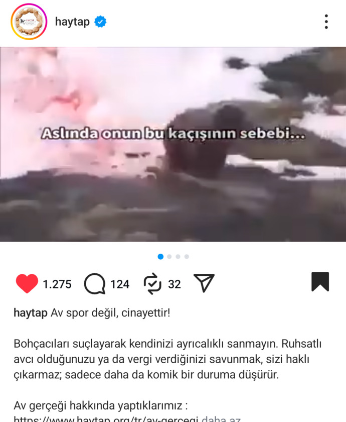 Bu erkekler iyice sapıtmadı mı?
