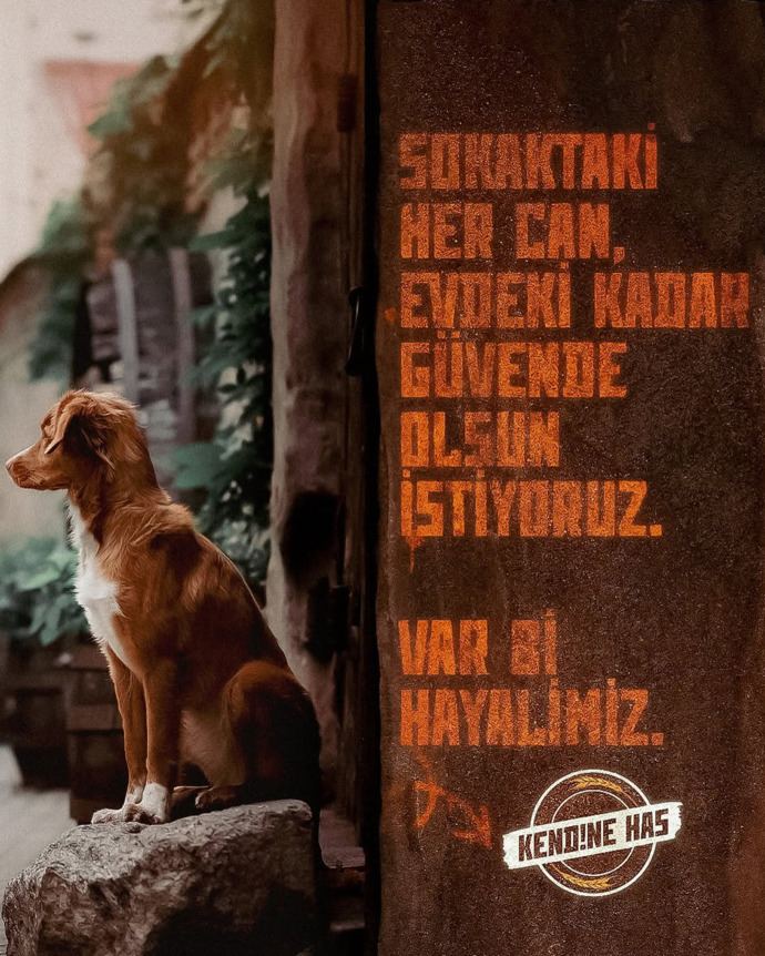 Bu erkekler iyice sapıtmadı mı?