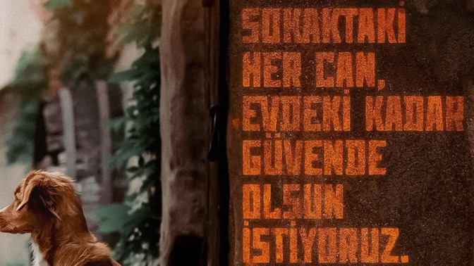 Bu erkekler iyice sapıtmadı mı?